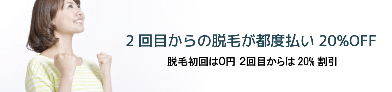 都度払い
